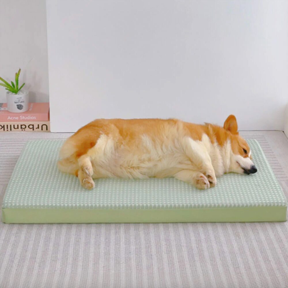 4_arctic-breeze-ice-silk-cozy-resting-cooling-dog-bed.jpg