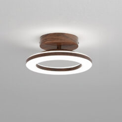 Acrylic_Round_LED_Ceiling_Light_For_Hallway_Entrance_0.jpg